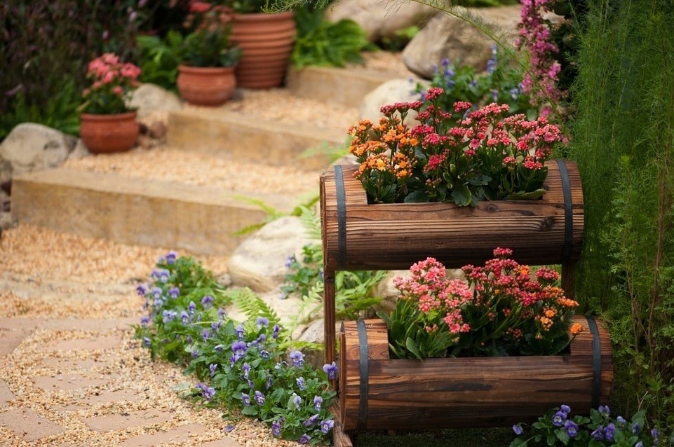 Steps With Potted Plants