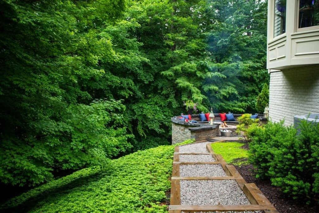 groundcover