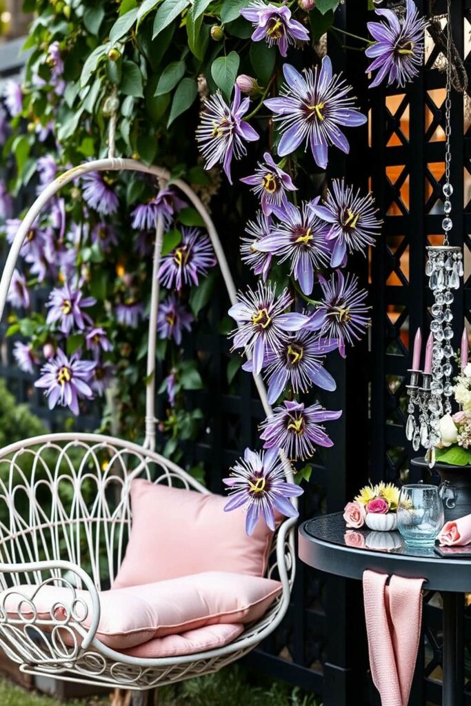 passionflowers