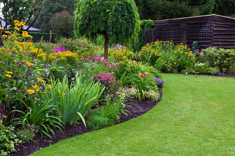 rain garden
