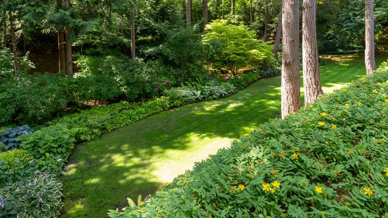 trees flowers shrubs