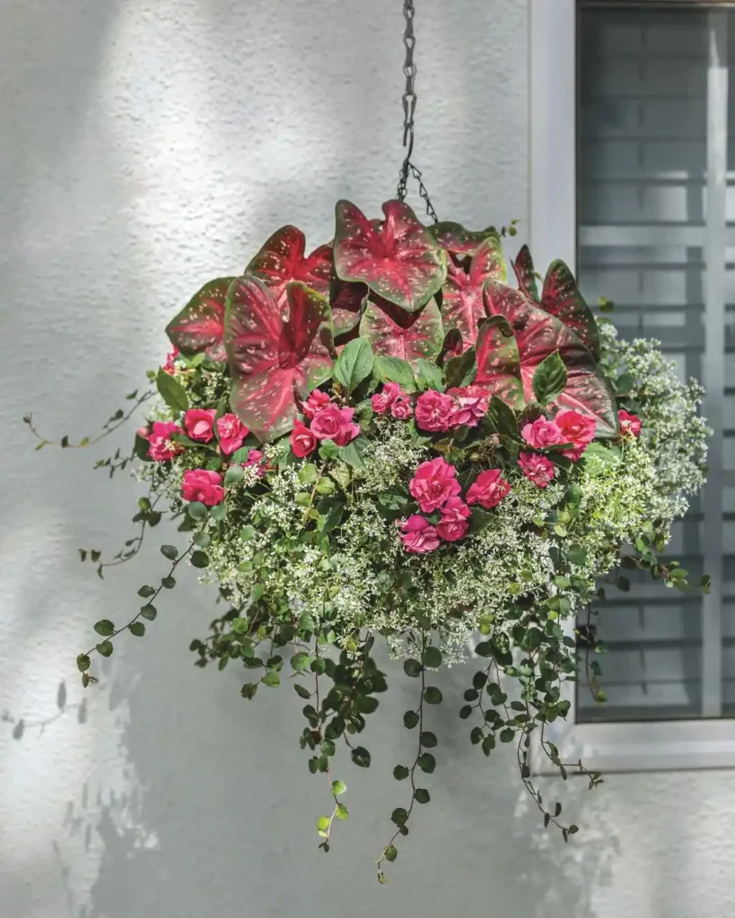 hanging baskets