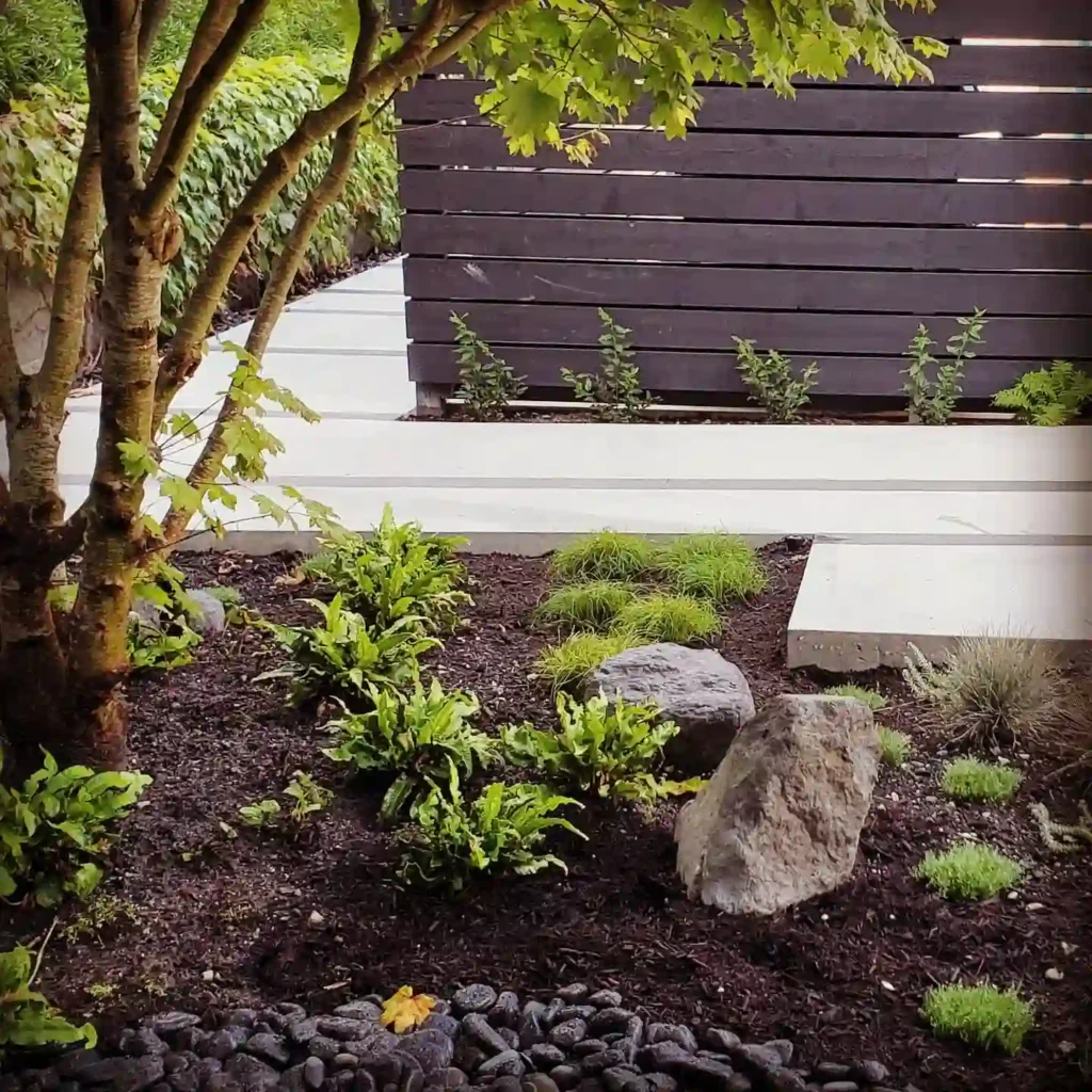 perennial garden