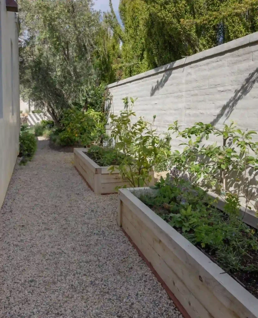 raised planter beds