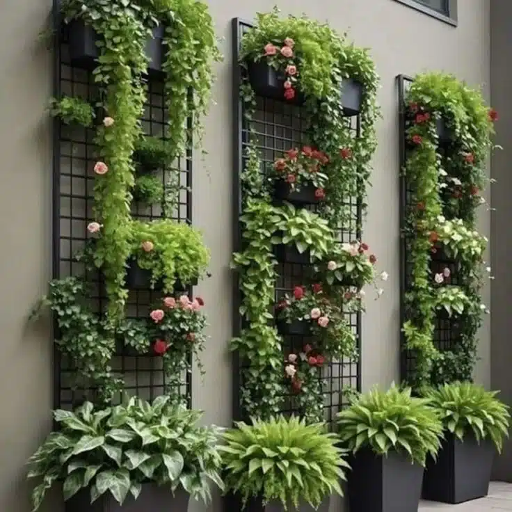 vertical garden