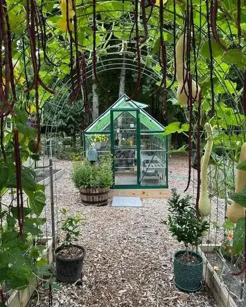 vertical garden